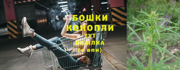 гидра Алексеевка