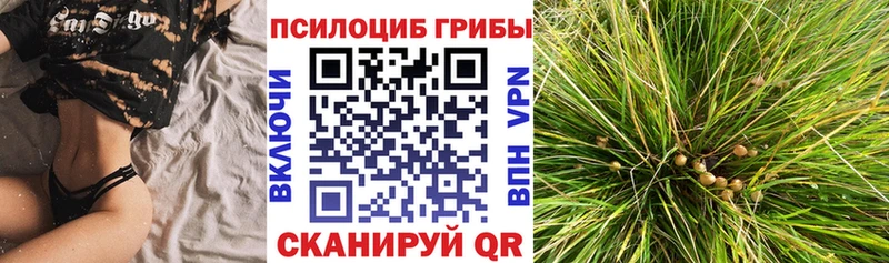 закладка  Камызяк  мега онион  Галлюциногенные грибы ЛСД 