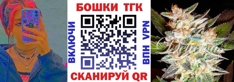Марихуана SATIVA & INDICA  omg ссылки  Камызяк 